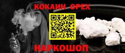 крисы Новокубанск