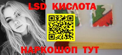 крисы Новокубанск