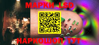 крисы Новокубанск
