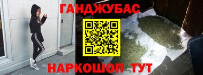 крисы Новокубанск