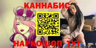 крисы Новокубанск