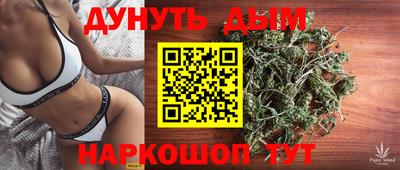 крисы Новокубанск