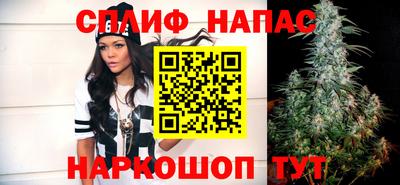хмурый Новозыбков