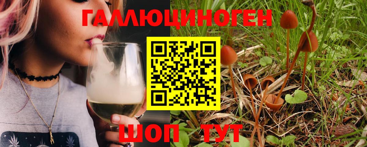 Меф  Мефедрон   Сланцы  МАРИХУАНА  Где продают наркотики?  Гашиш  Вход с VPN  Cocaine  A PVP СОЛЬ  