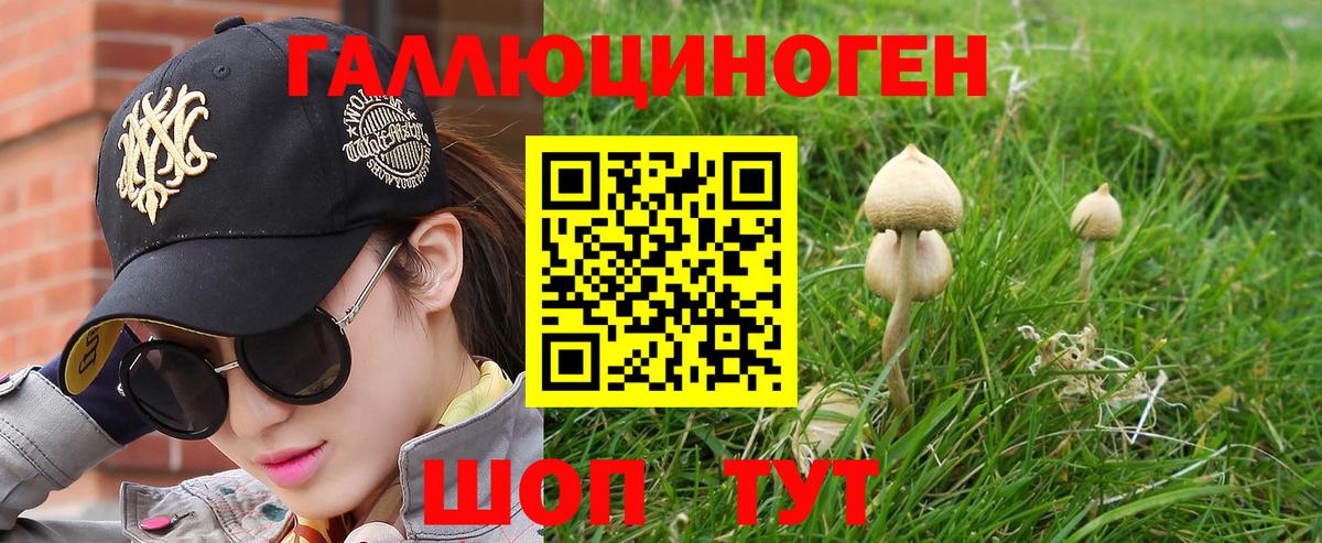Псилоцибиновые грибы Psilocybine cubensis Сланцы