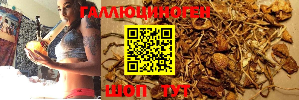 Сланцы  Галлюциногенные грибы Magic Shrooms  Вход с VPN 